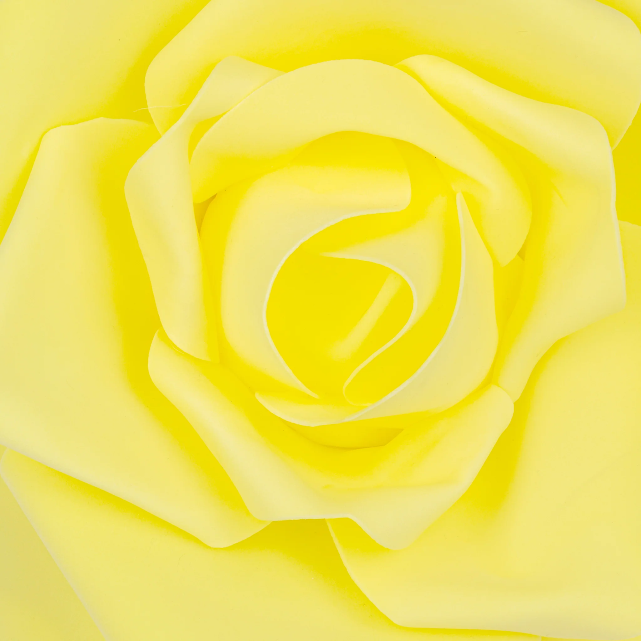 Large Foam Rose Wall Decor 40 cm - Yellow - Image 3