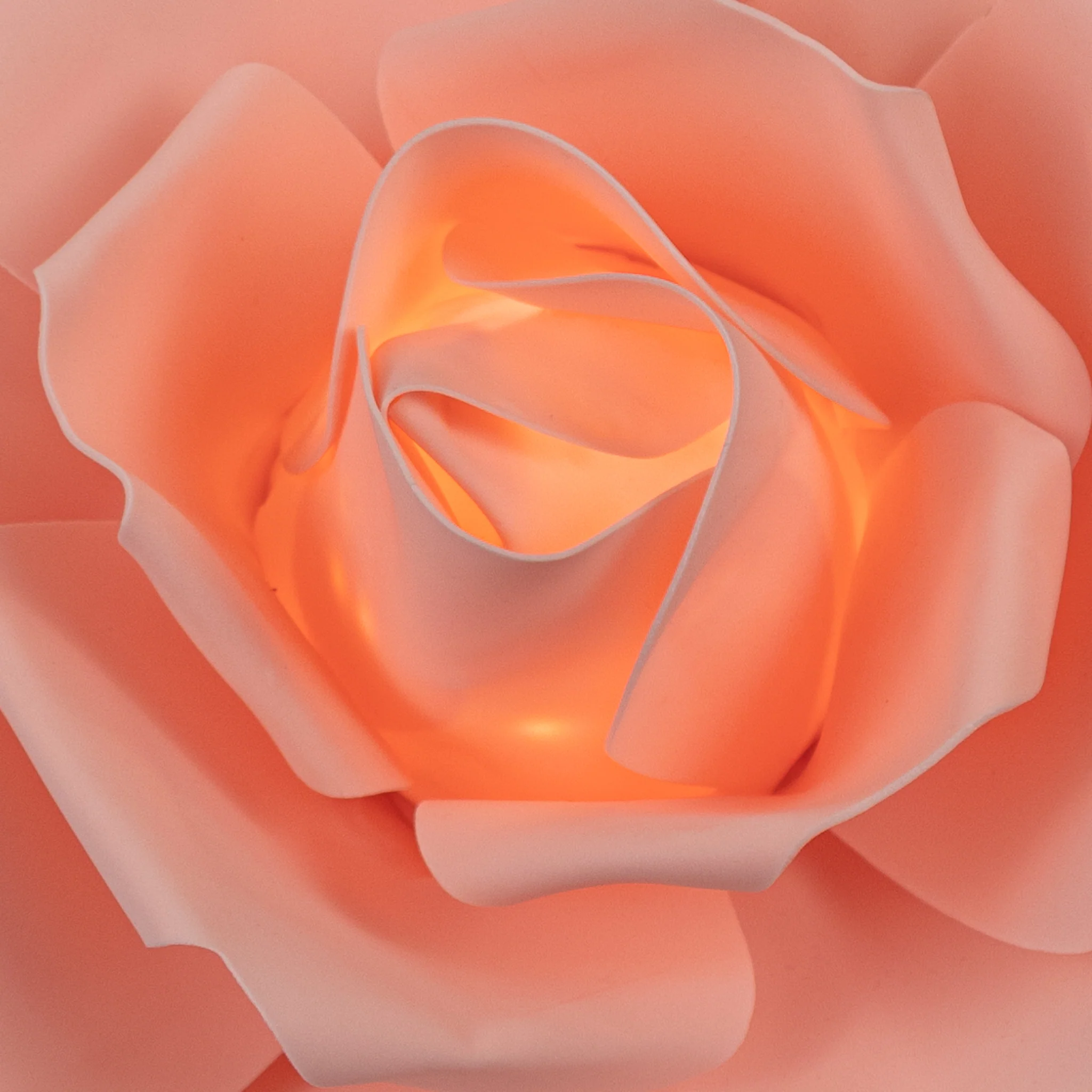 LED Lighted Large Foam Rose Wall  Decor 50 cm - Blush - Image 2
