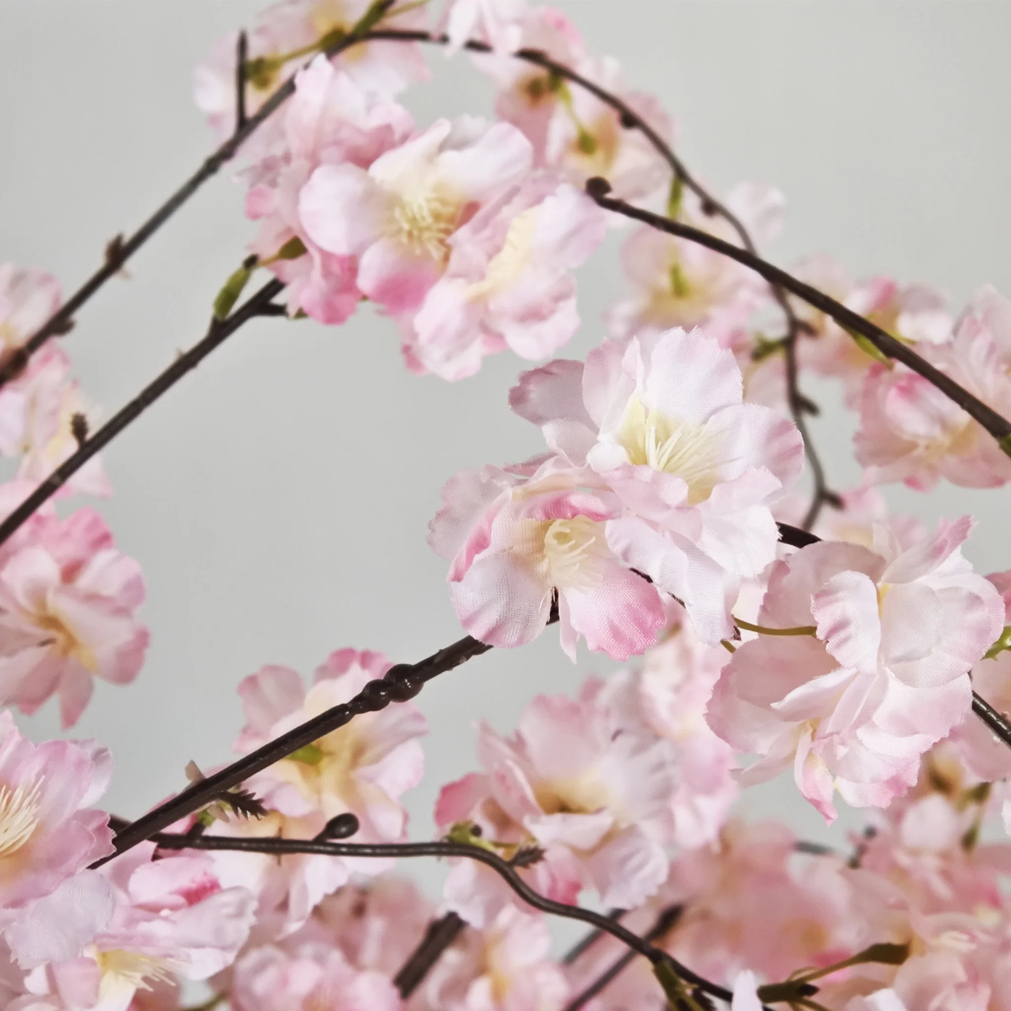 5ft Weeping Cherry Blossom Tree - Pink - Image 3